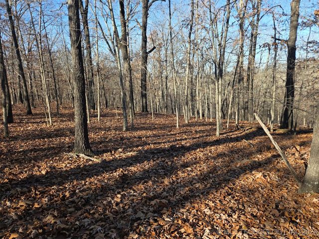 Pigeon Ridge, Proctor, OK 74457