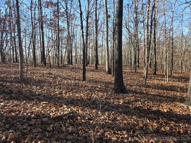 Pigeon Ridge, Proctor, OK 74457