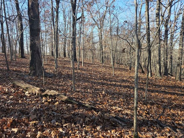 Pigeon Ridge, Proctor, OK 74457