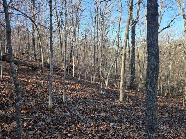 Pigeon Ridge, Proctor, OK 74457