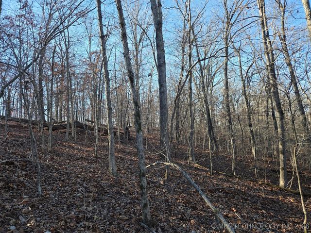 Pigeon Ridge, Proctor, OK 74457