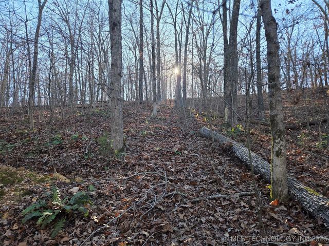 Pigeon Ridge, Proctor, OK 74457