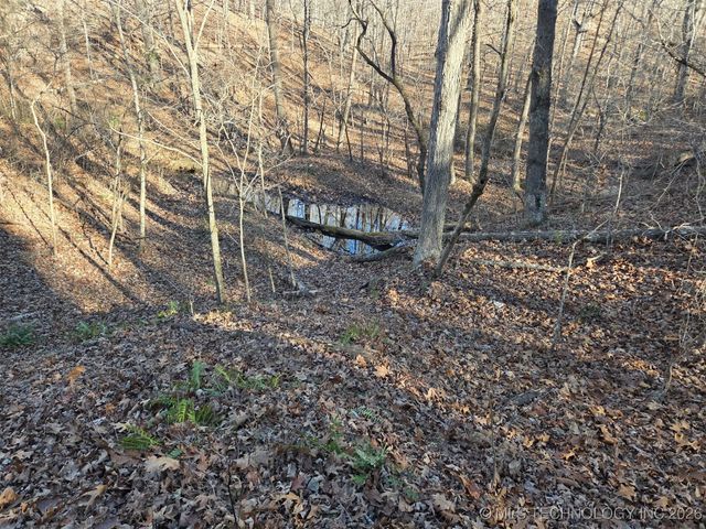 Pigeon Ridge, Proctor, OK 74457