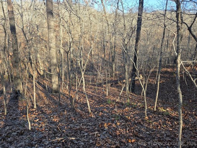 Pigeon Ridge, Proctor, OK 74457