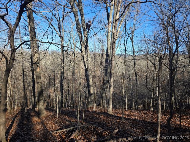 Pigeon Ridge, Proctor, OK 74457