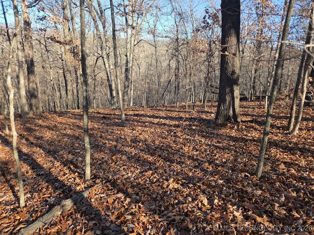 Pigeon Ridge, Proctor, OK 74457