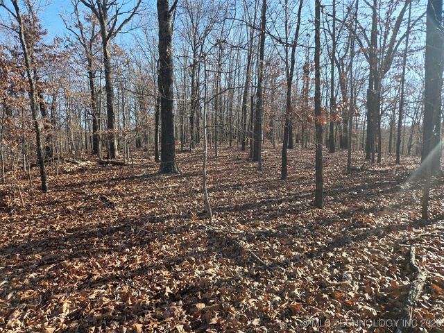 Pigeon Ridge, Proctor, OK 74457