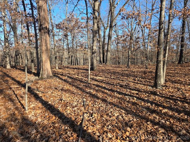 Pigeon Ridge, Proctor, OK 74457