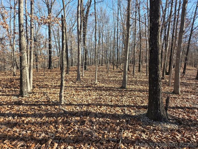 Pigeon Ridge, Proctor, OK 74457