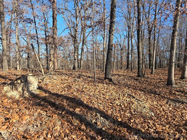 Pigeon Ridge, Proctor, OK 74457