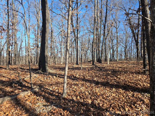 Pigeon Ridge, Proctor, OK 74457