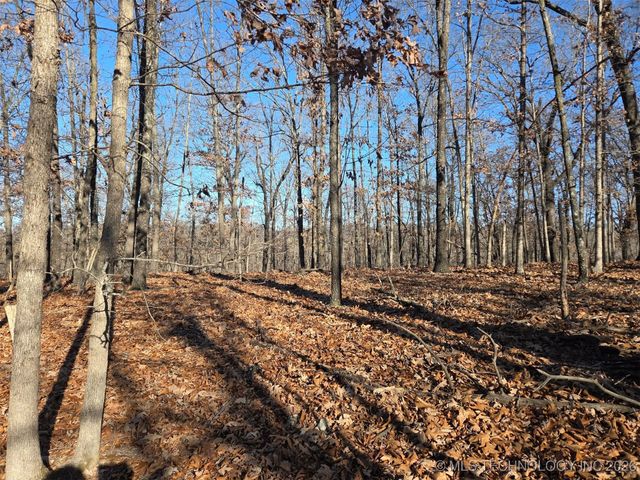 Pigeon Ridge, Proctor, OK 74457