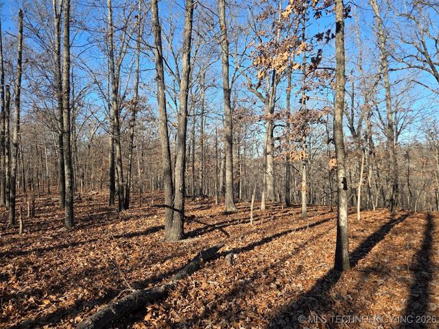 Pigeon Ridge, Proctor, OK 74457