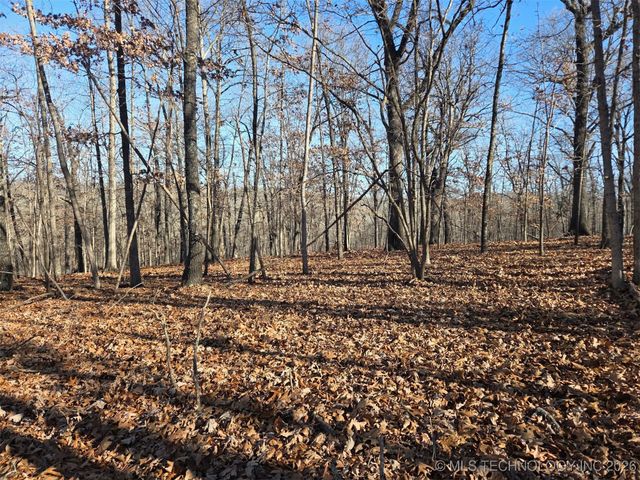 Pigeon Ridge, Proctor, OK 74457