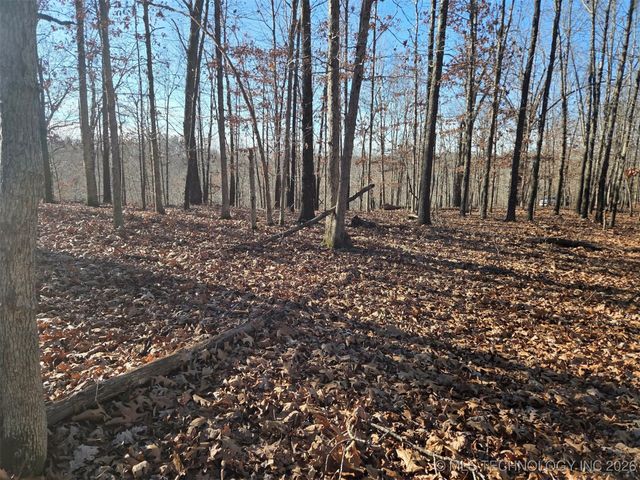 Pigeon Ridge, Proctor, OK 74457