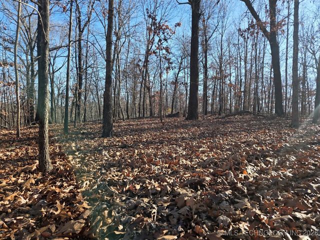 Pigeon Ridge, Proctor, OK 74457