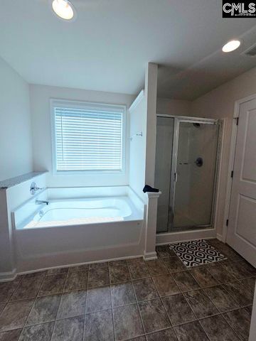 247 Ashewicke Drive, Columbia, SC 29229