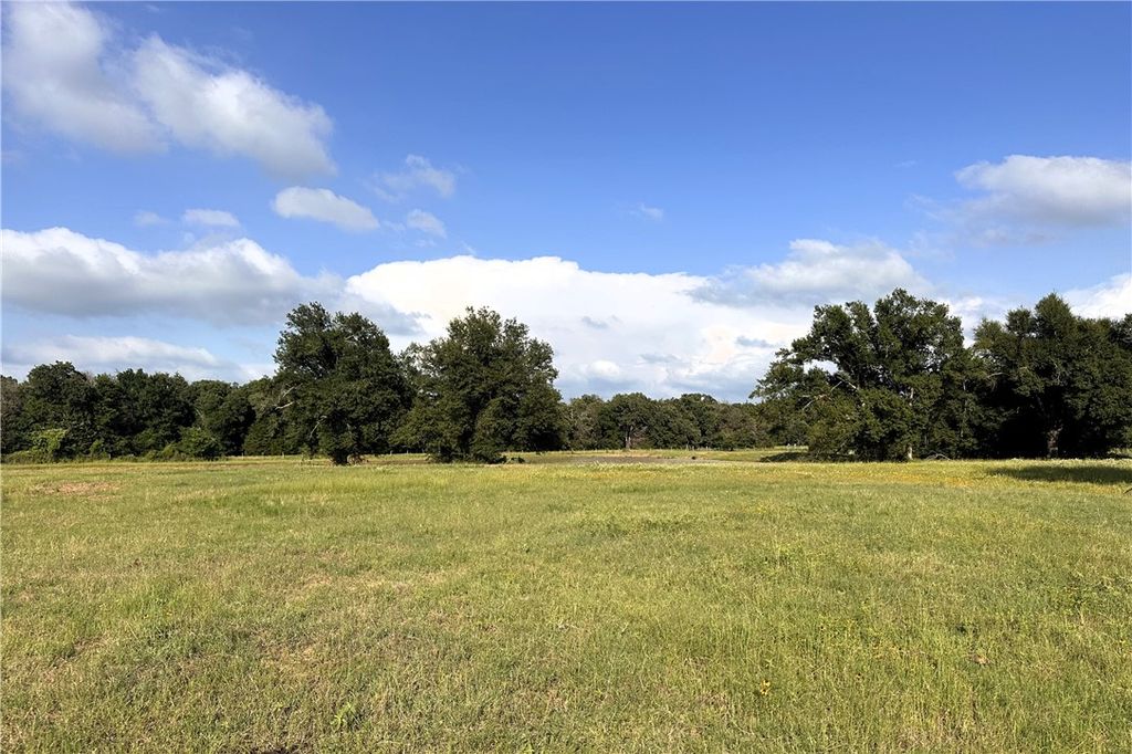 6526 Owensville Cemetery Road, Franklin, TX 77856 — photo 3