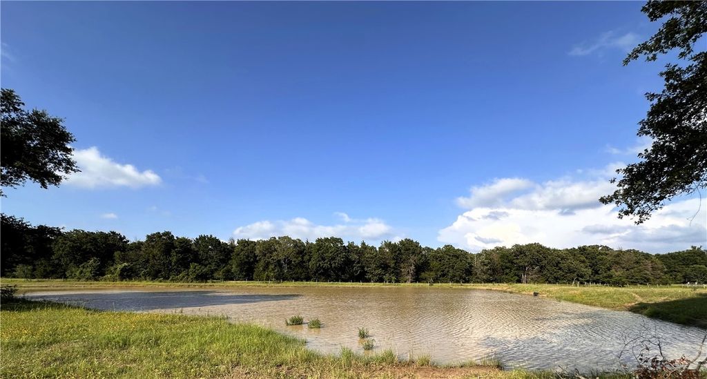 6526 Owensville Cemetery Road, Franklin, TX 77856 — photo 4