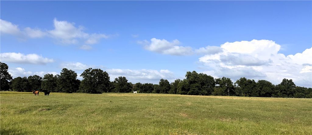 6526 Owensville Cemetery Road, Franklin, TX 77856 — photo 5