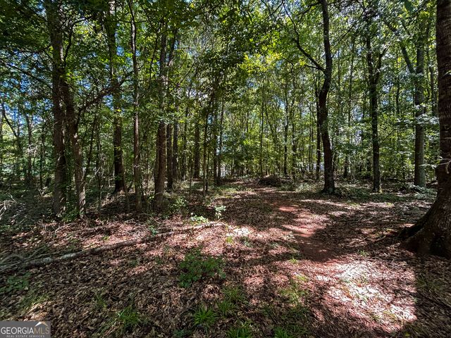 1030 Woodberry Drive, Watkinsville, GA 30677