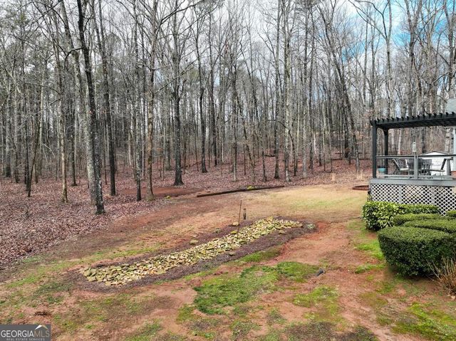 336 Stonecutters Cove, Stockbridge, GA 30281