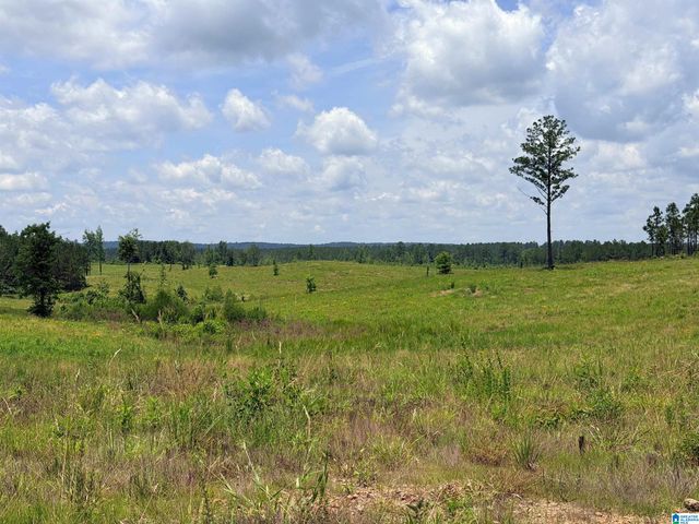 561 LAKEWOOD DRIVE, Columbiana, AL 35051