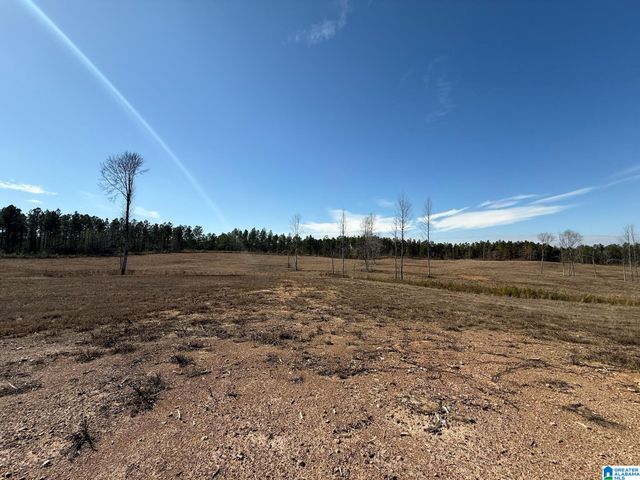 561 LAKEWOOD DRIVE, Columbiana, AL 35051