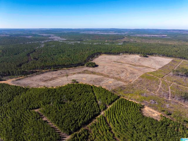 561 LAKEWOOD DRIVE, Columbiana, AL 35051