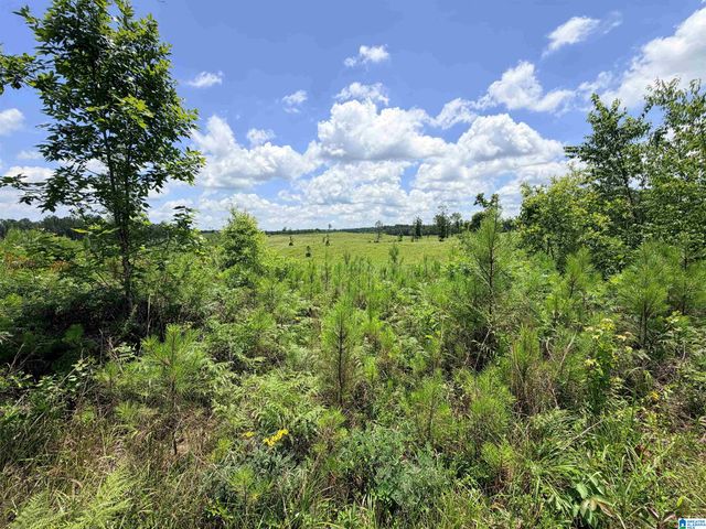 561 LAKEWOOD DRIVE, Columbiana, AL 35051