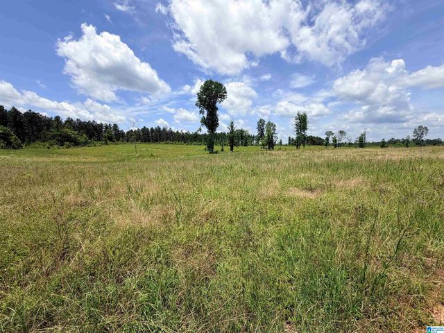 561 LAKEWOOD DRIVE, Columbiana, AL 35051