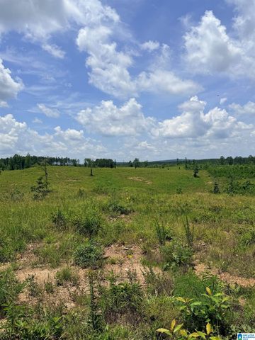 561 LAKEWOOD DRIVE, Columbiana, AL 35051