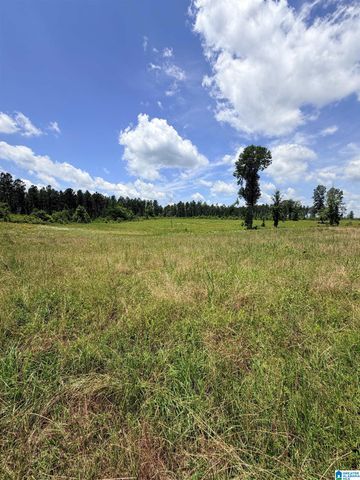 561 LAKEWOOD DRIVE, Columbiana, AL 35051