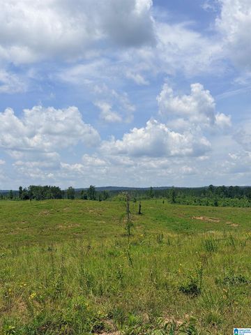 561 LAKEWOOD DRIVE, Columbiana, AL 35051