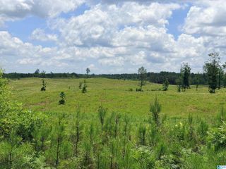 561 LAKEWOOD DRIVE, Columbiana, AL 35051