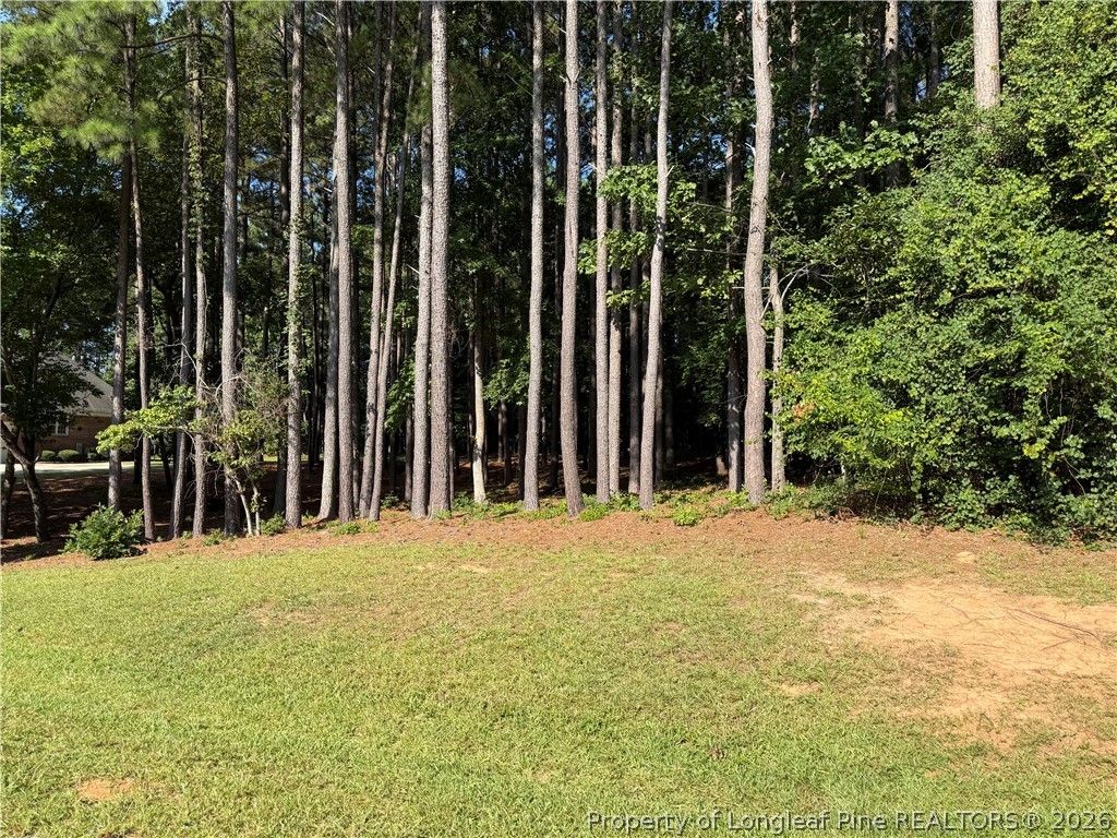 TBD Saintsbury Place, Sanford, NC 27332 — photo 3