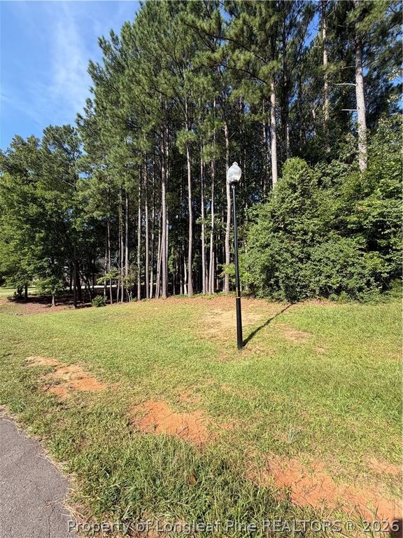 TBD Saintsbury Place, Sanford, NC 27332 — photo 4