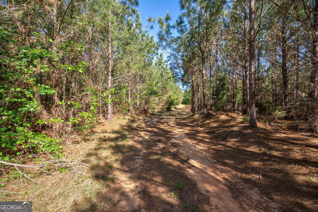 0 Brewer's Bridge Road, Elberton, GA 30635 — photo 4