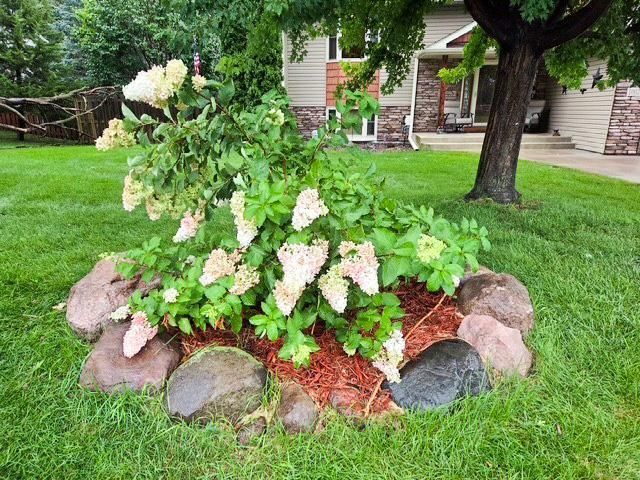 10029 Dogwood Street NW, Coon Rapids, MN 55448