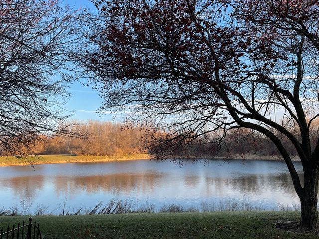 13841 Cambridge Circle, Plainfield, IL 60544