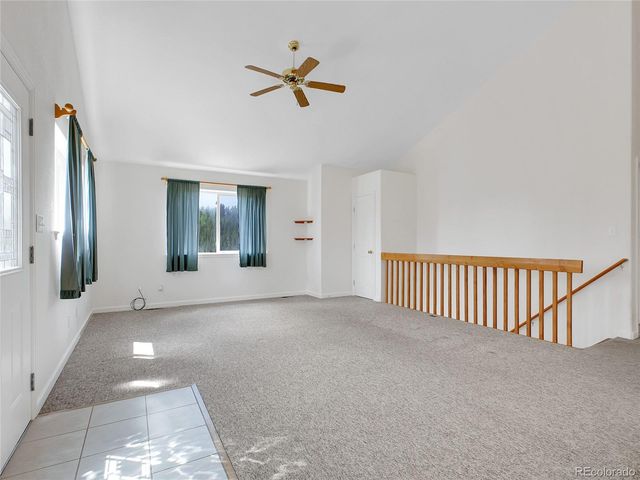 367 Moore Street, Bailey, CO 80421