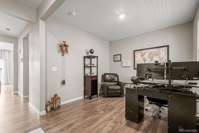 14075 Scarlet Sage Street, Parker, CO 80134