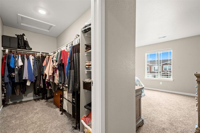 14075 Scarlet Sage Street, Parker, CO 80134