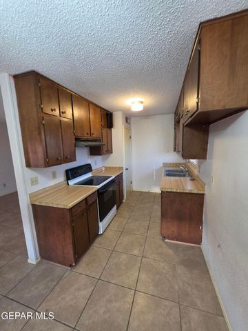 217 PALMARY Drive, El Paso, TX 79912