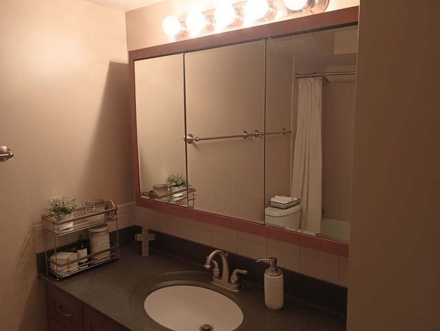 1880 Bonnie Lane 112, Hoffman Estates, IL 60169