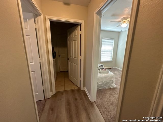 11806 Luckey Flower, San Antonio, TX 78252