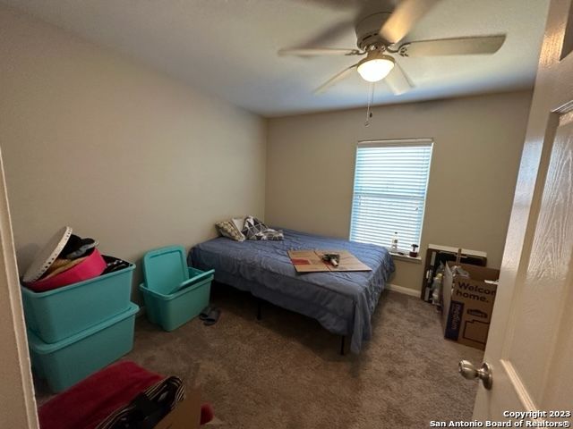 11806 Luckey Flower, San Antonio, TX 78252