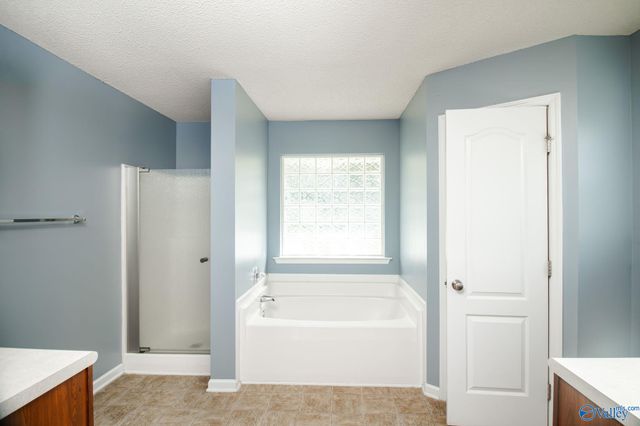 111 Spirit Drive, Toney, AL 35773