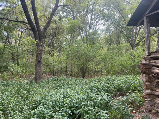 10232 County Road 211-East 76, Ava, MO 65608