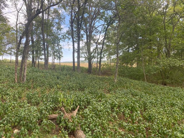 10232 County Road 211-East 76, Ava, MO 65608